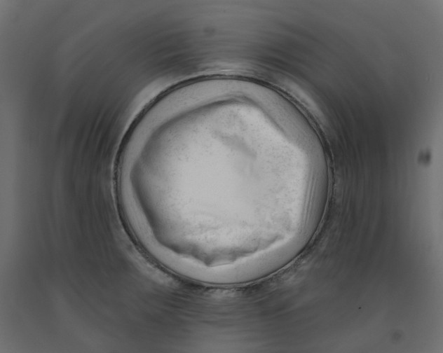 X0000091991283200710041123