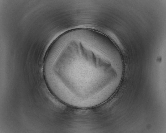 X0000091991284200710041123