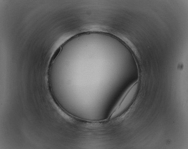 X0000091991285200710041123