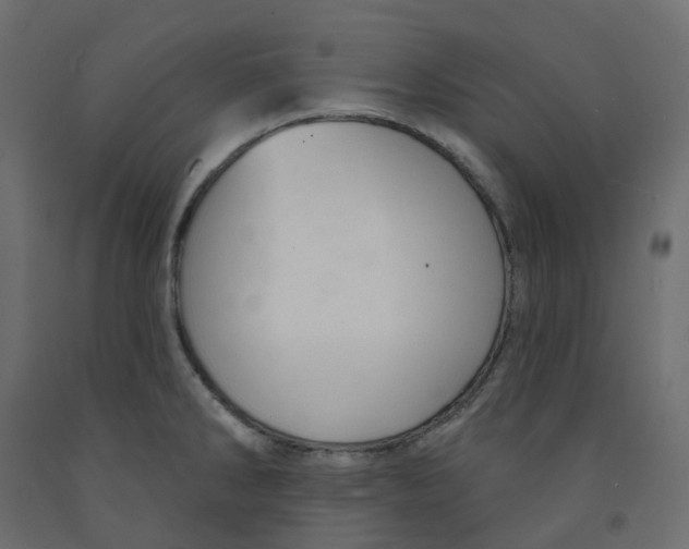 X0000091991286200710041123