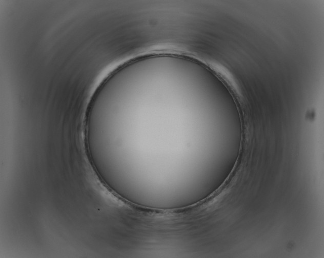 X0000091991288200710041123
