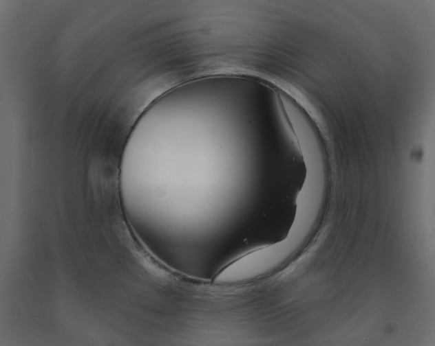 X0000091991289200710041123