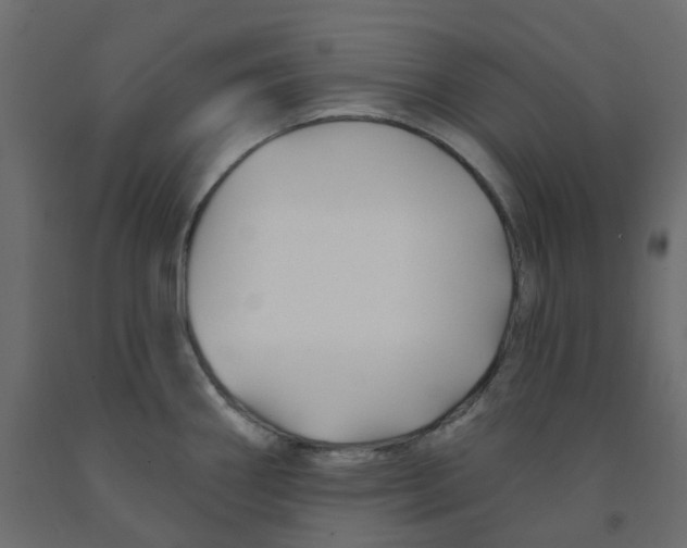 X0000091991290200710041123