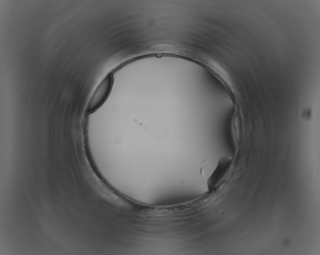 X0000091991291200710041123