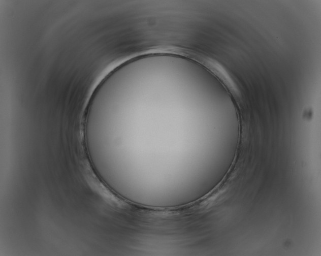 X0000091991292200710041123