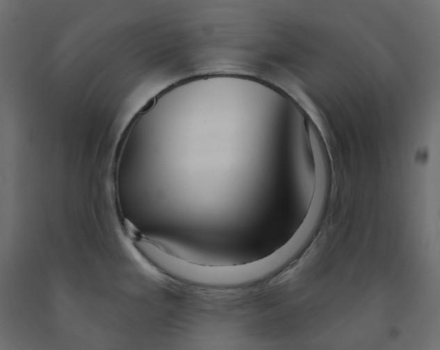X0000091991293200710041123