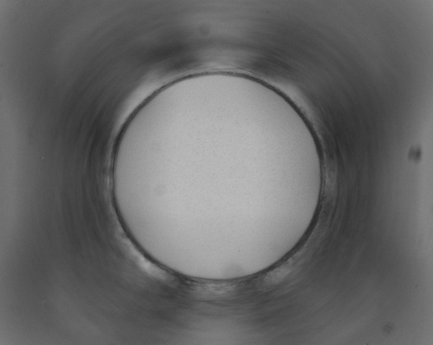 X0000091991294200710041122