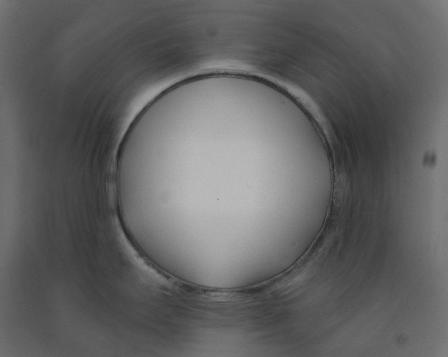 X0000091991295200710041122