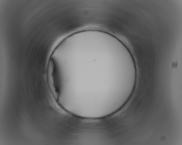 X0000091991296200710041122