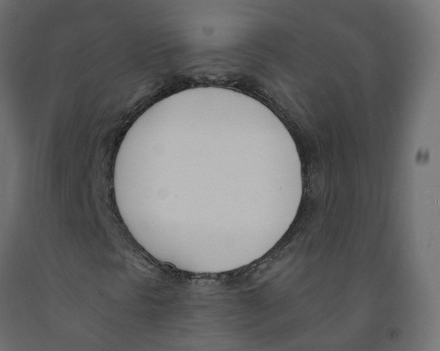 X0000091991297200710041122