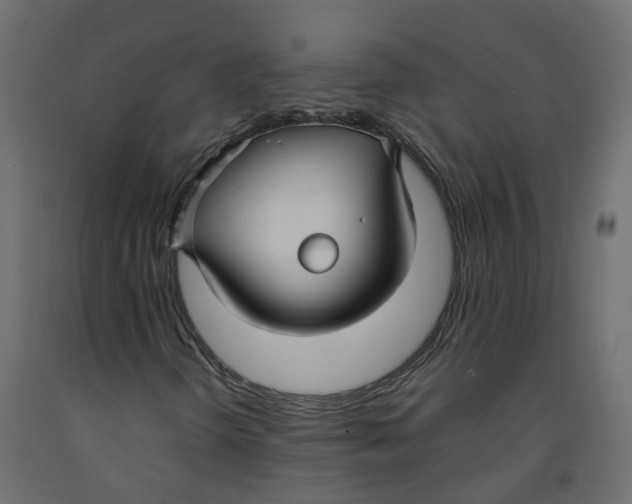 X0000091991298200710041122
