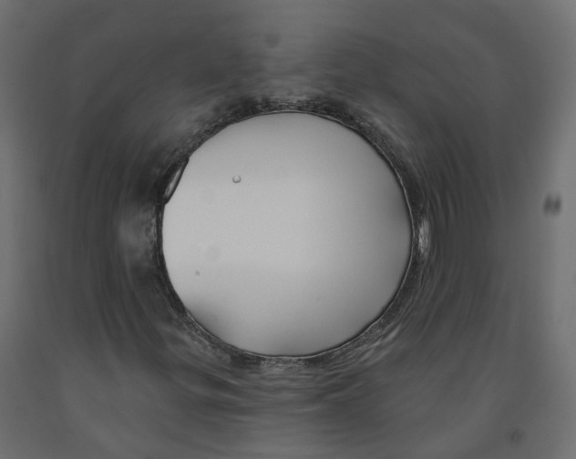 X0000091991299200710041122