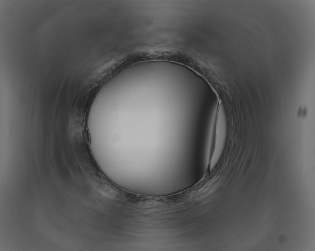 X0000091991300200710041122