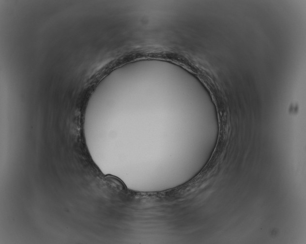 X0000091991301200710041122