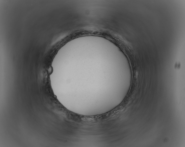 X0000091991302200710041122