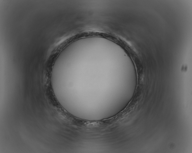 X0000091991303200710041122