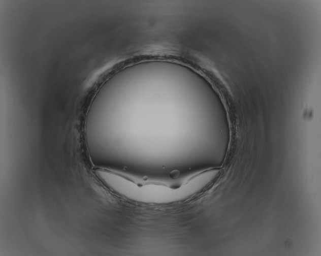 X0000091991304200710041122