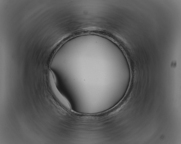 X0000091991305200710041122