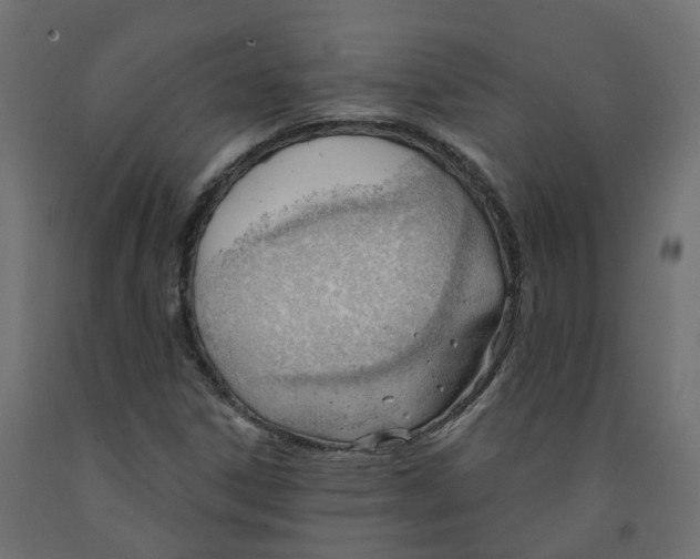X0000091991306200710041122