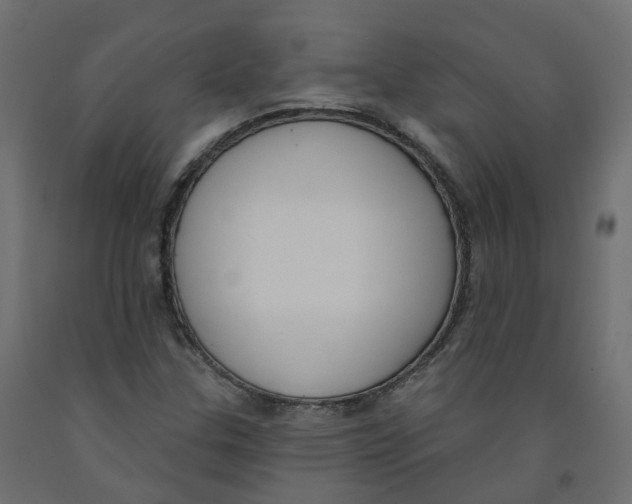 X0000091991307200710041122