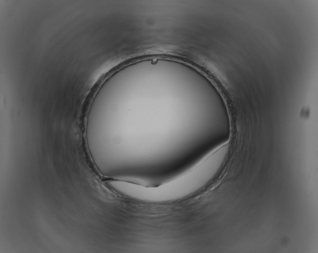 X0000091991308200710041122