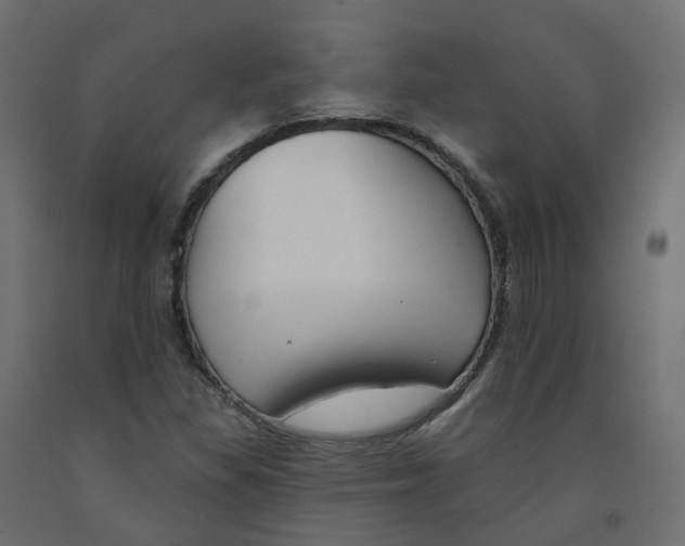 X0000091991309200710041122