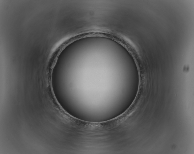 X0000091991310200710041122