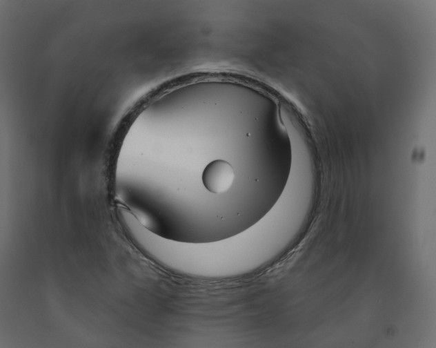X0000091991311200710041122