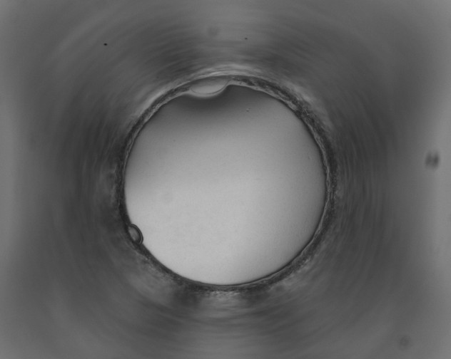 X0000091991313200710041122