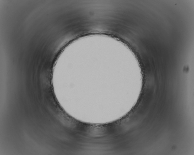 X0000091991314200710041122