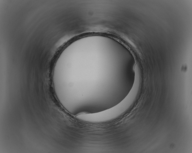 X0000091991315200710041122