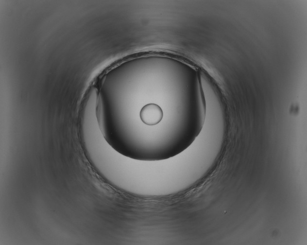 X0000091991316200710041122