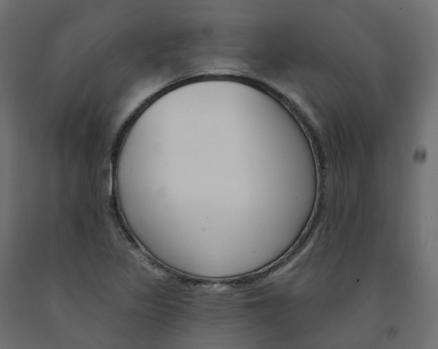 X0000091991317200710041122