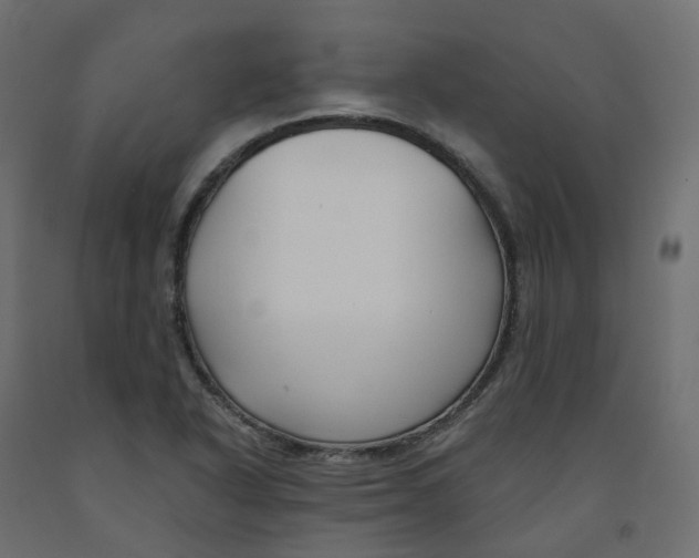 X0000091991318200710041122
