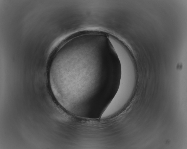 X0000091991319200710041122