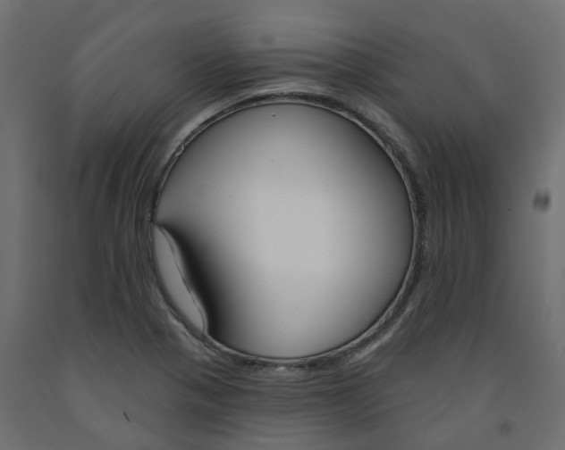 X0000091991321200710041122