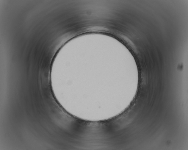 X0000091991322200710041122