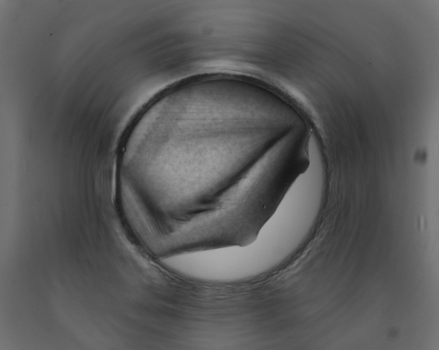 X0000091991323200710041122
