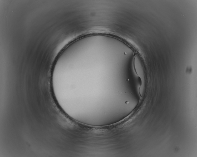 X0000091991325200710041122