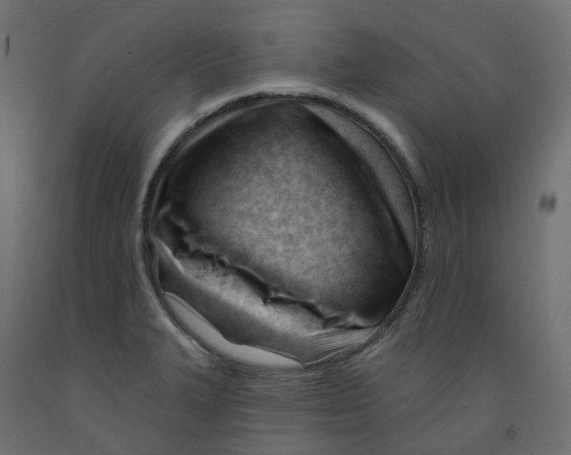 X0000091991327200710041122