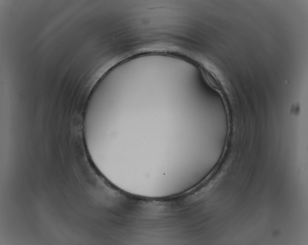 X0000091991329200710041122