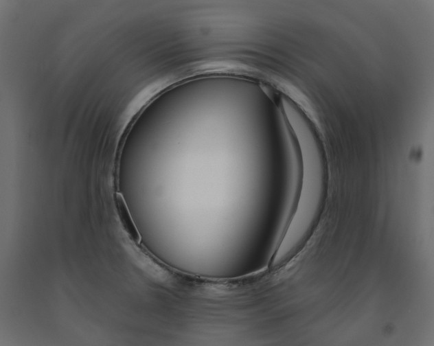 X0000091991330200710041122