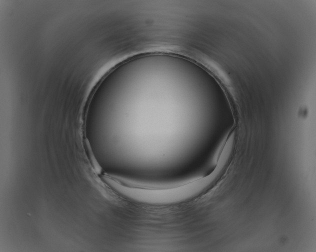 X0000091991332200710041122