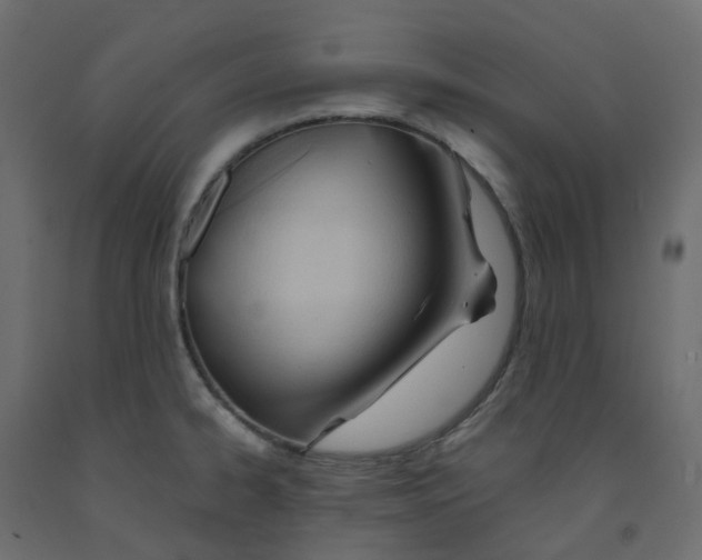 X0000091991334200710041122