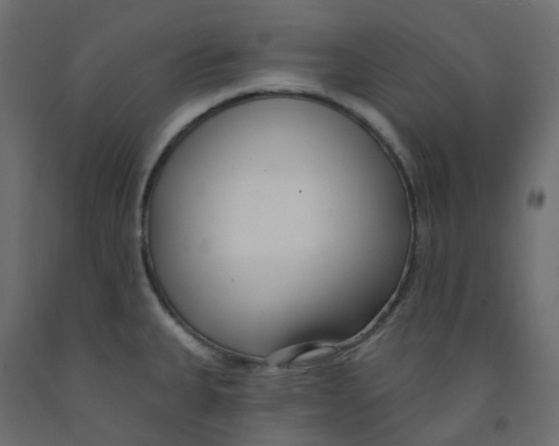 X0000091991335200710041122