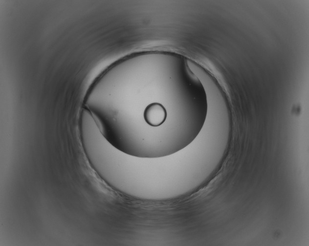 X0000091991336200710041122