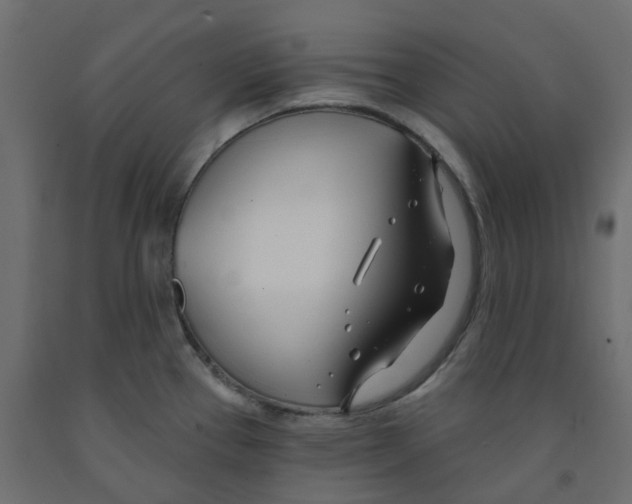 X0000091991337200710041122