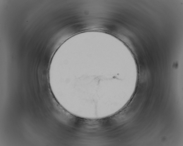 X0000091991338200710041122
