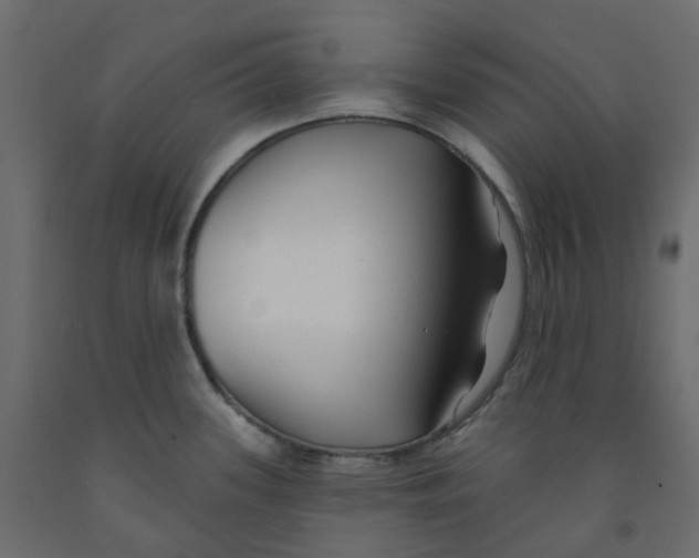 X0000091991339200710041122