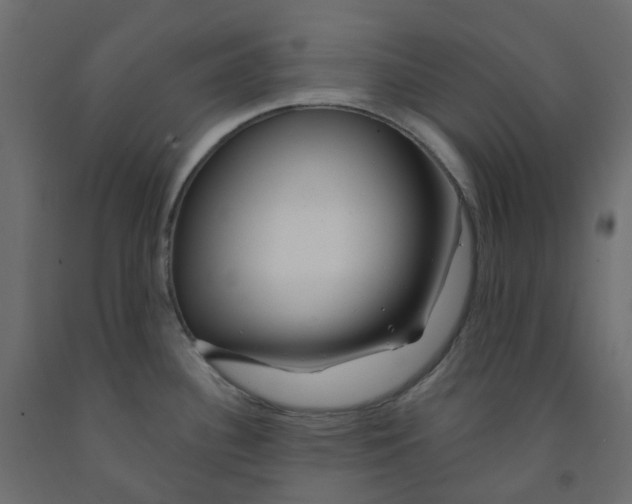 X0000091991340200710041122